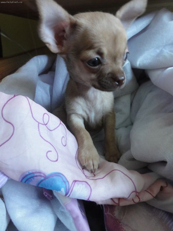 Foto: Vymaz�no !-[R]Zpr�va byla vymaz�na[/R] .. v : ()