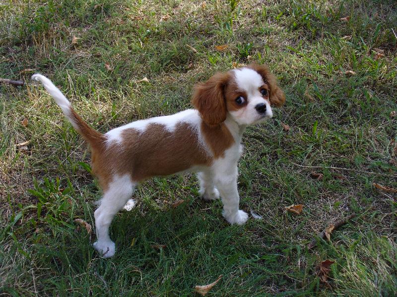 Foto: nelly-je mi 10 t�dn�