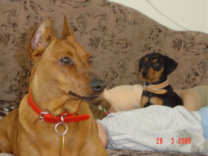 Foto: �erven� a �ern�-V posteli je to stejn� nejlep��!