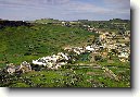 Dingli