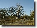 Ndiagane Keur Gadie - Ndiagane Keur Gadi