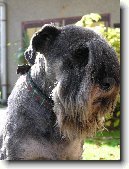 Kn�ra� st�edn�