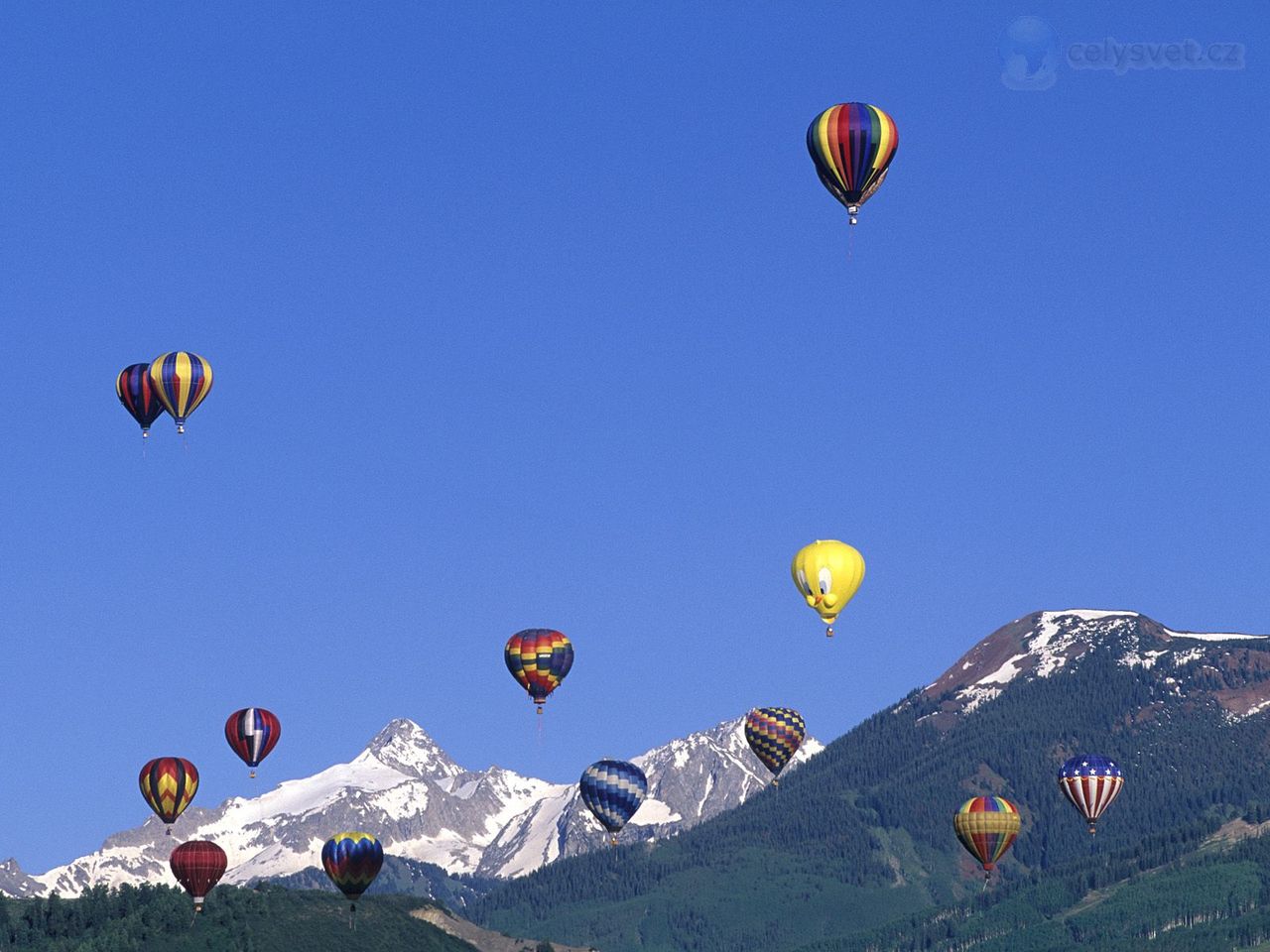 Foto: Hot Air Balloons, Colorado