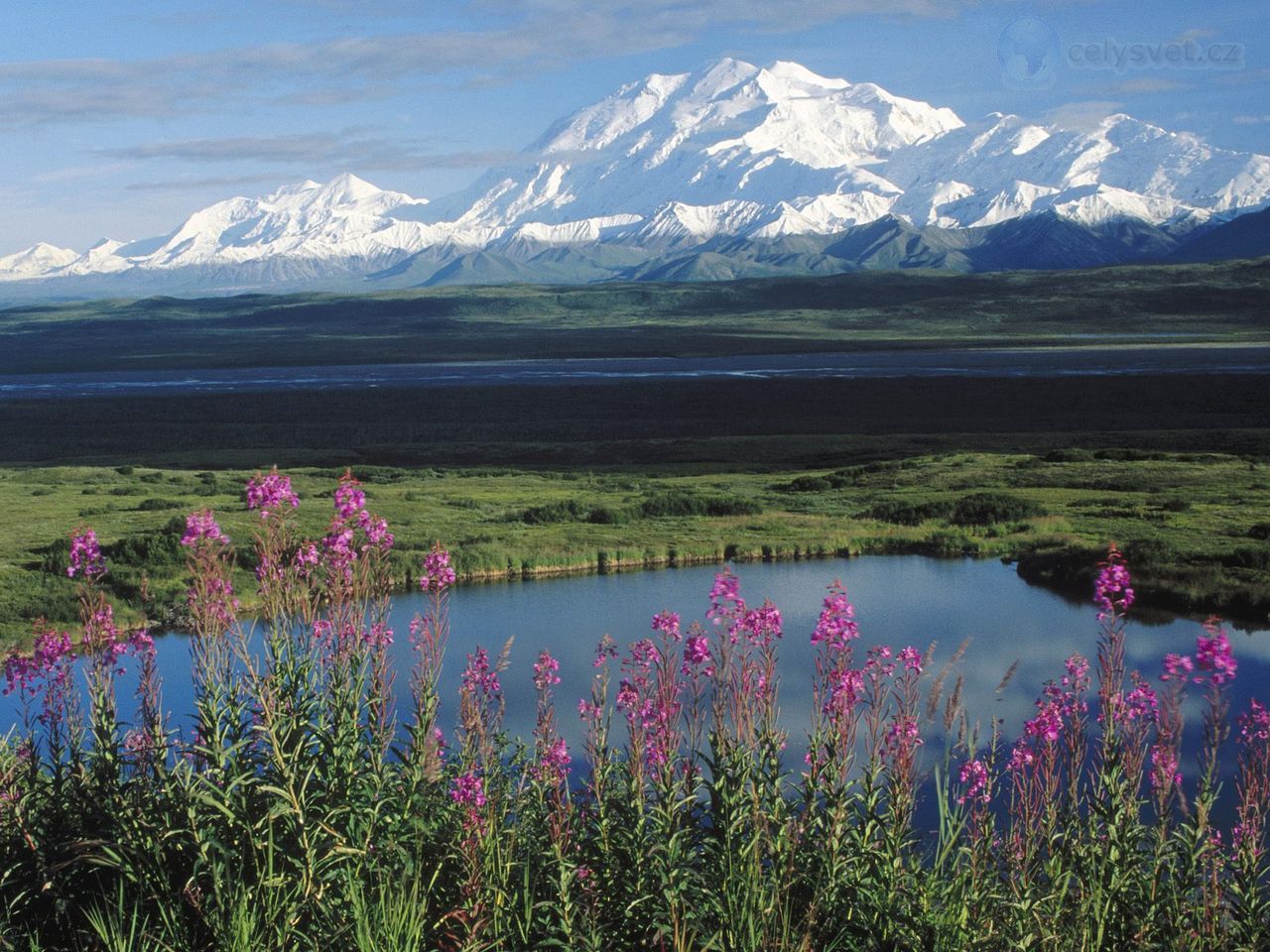 Foto: Mount Mckinely Denali National Park, Alaska