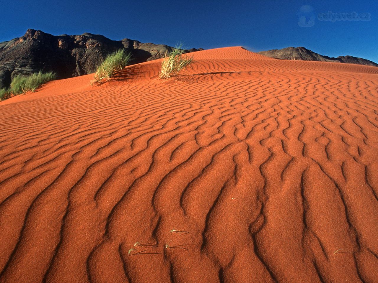 Foto: Crawling On The Dune, Namib Rand Nature Reserve, Namibia