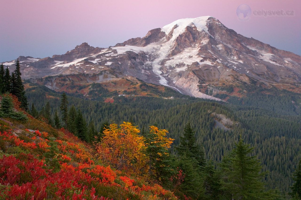 Foto: Sunrise At Paradise, Mount Rainer National Park, Washington