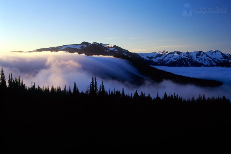 Foto: Fog And Olympic Mountains, Olympic National Park, Washington