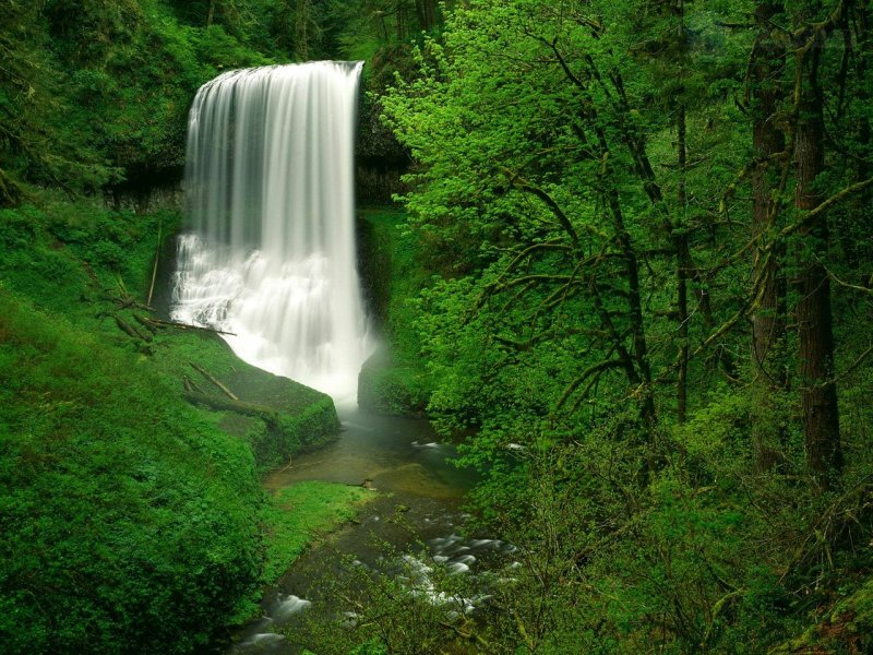 Foto: Middle North Falls, Silver Falls State Park, Oregon