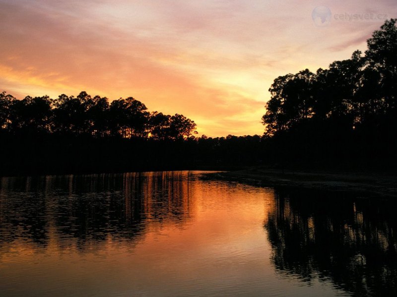 Foto: Long Pine Key, Everglades National Park, Florida