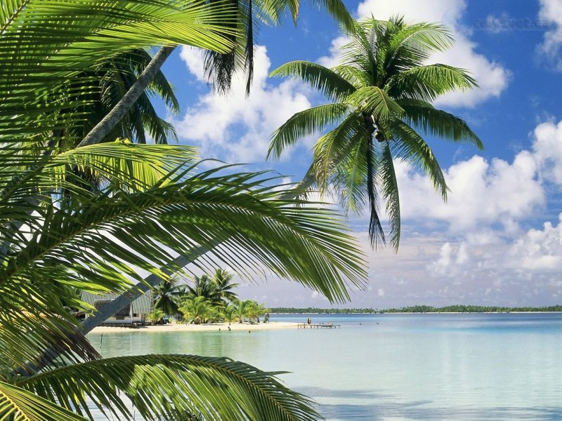 Foto: Takapoto Island, French Polynesia