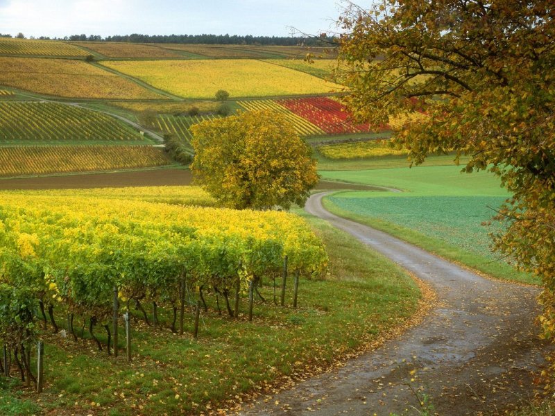 Foto: Beauty In Nature, France