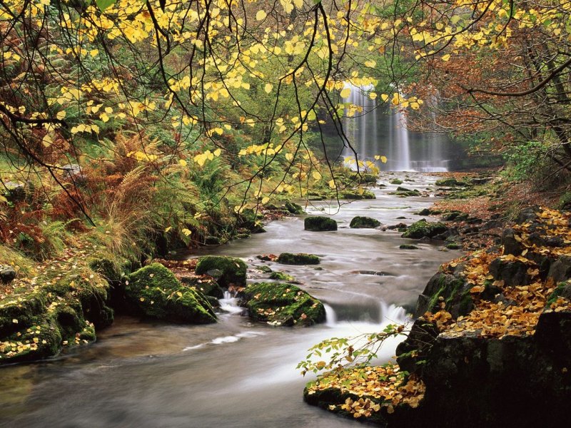 Foto: Sgwd Yr Eira Waterfall, The Brecon Beacons National Park, Wales