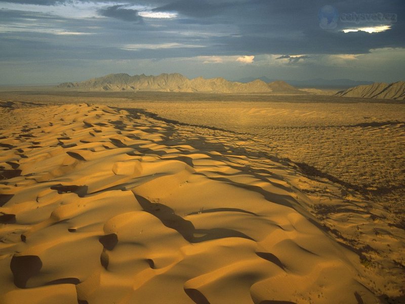 Foto: El Pinacate Gran Desierto Del Altar Biosphere Reserve, Sonora, Mexico