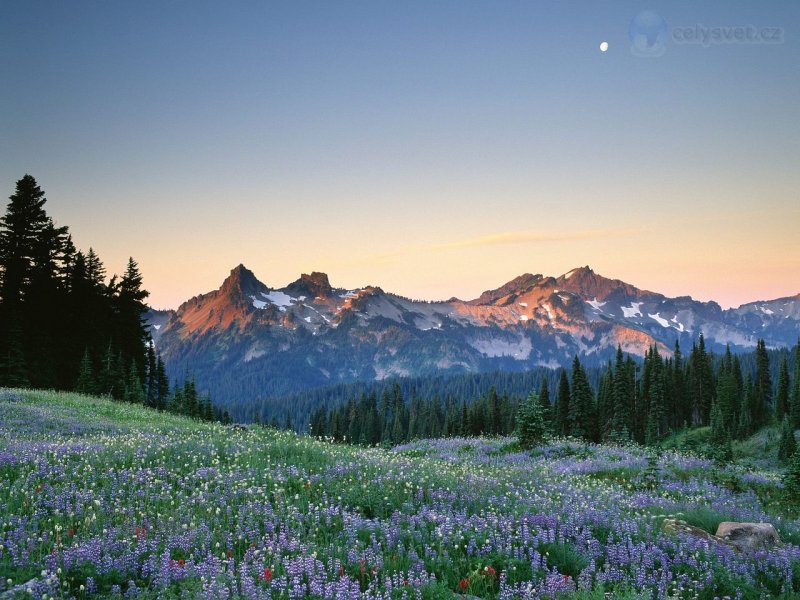 Foto: Moon Rising Over The Tatoosh Range, Mount Rainier National Park, Washington