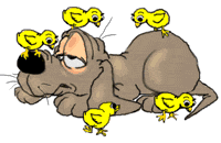 V�ce smajl�k� ke sta�en�